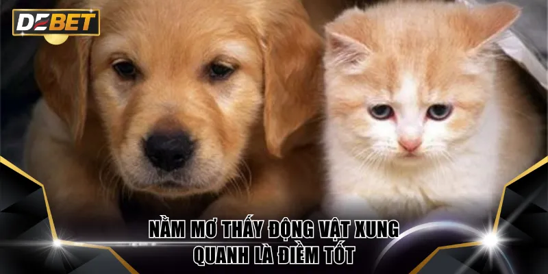 Nằm mơ thấy động vật xung quanh là điềm tốt